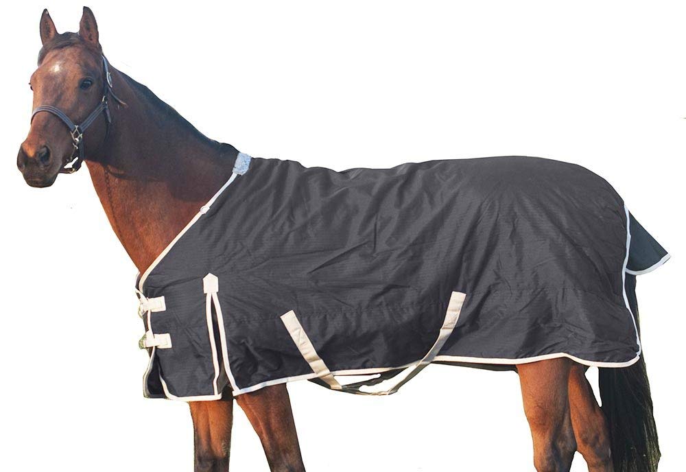 Top 10 Best Horse Turnout Winter Blankets 2018 - Best Horse Blankets