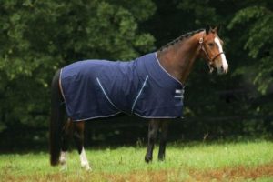 horseware-rambo-stable-sheet-best-horse-stable-blankets-and-sheets