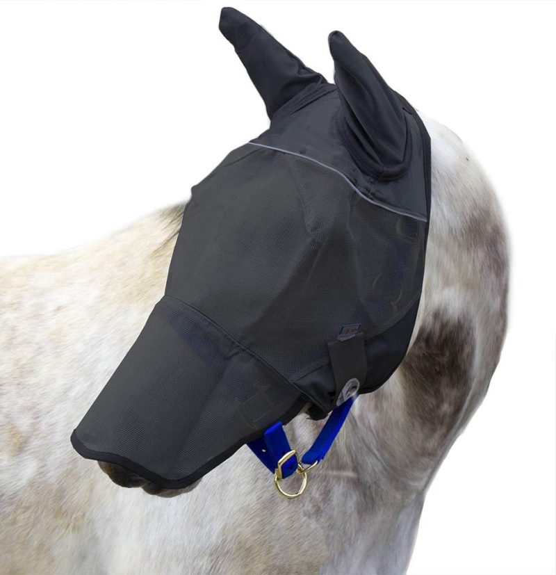 Top 10 Best Horse Fly Masks 2018 Best Horse Blankets