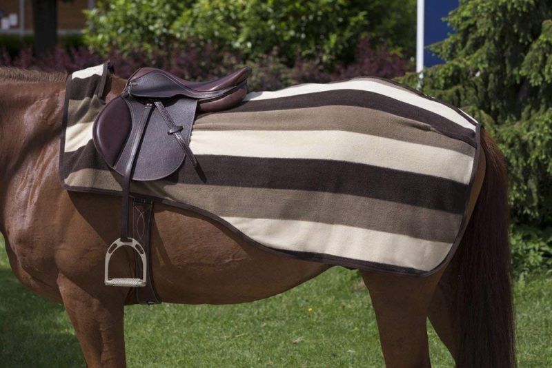 Top 10 Best Horse Quarter Sheets 2018 Best Horse Blankets