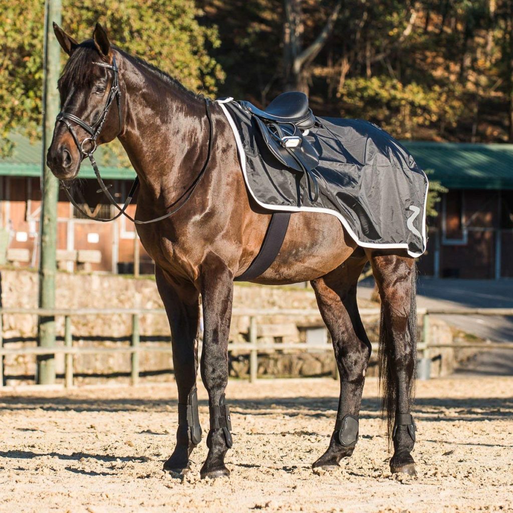 Top 10 Best Horse Quarter Sheets 2018 - Best Horse Blankets