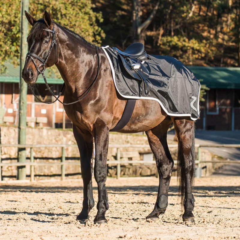 Top 10 Best Horse Quarter Sheets 2018 Best Horse Blankets