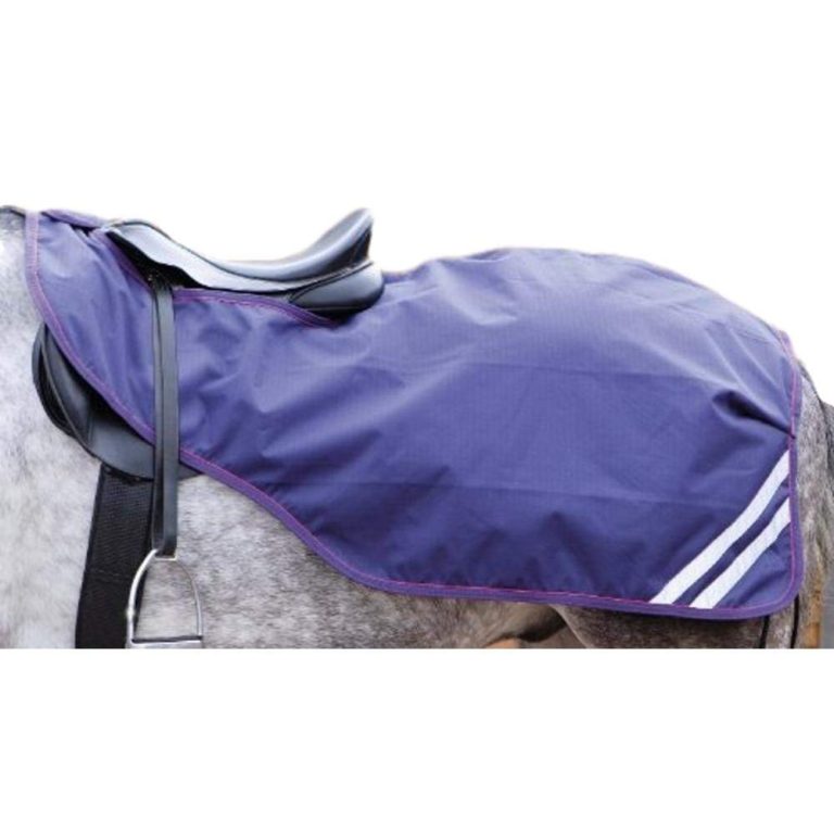 Top 10 Best Horse Quarter Sheets 2018 Best Horse Blankets