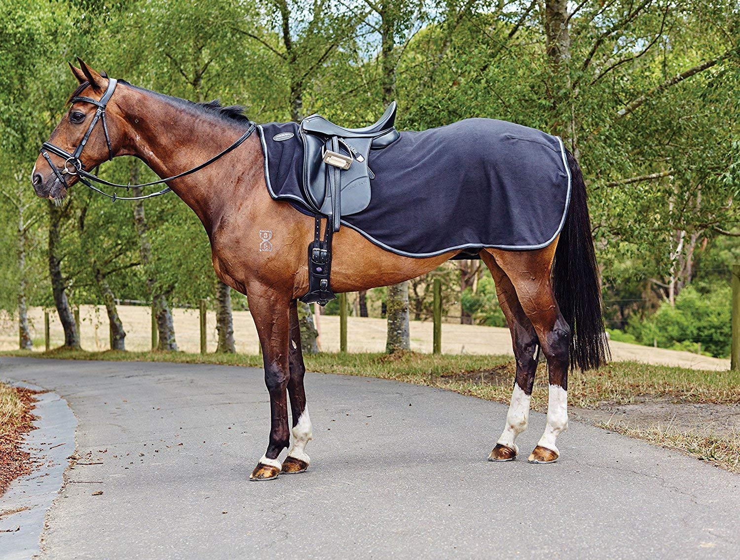 Top 10 Best Horse Quarter Sheets 2018 - Best Horse Blankets