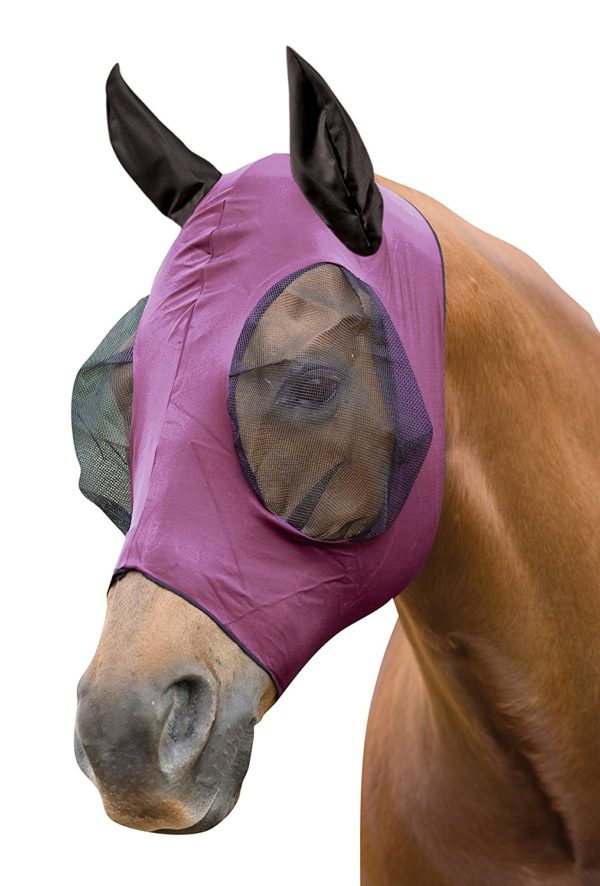 Top 10 Best Horse Fly Masks 2018 Best Horse Blankets