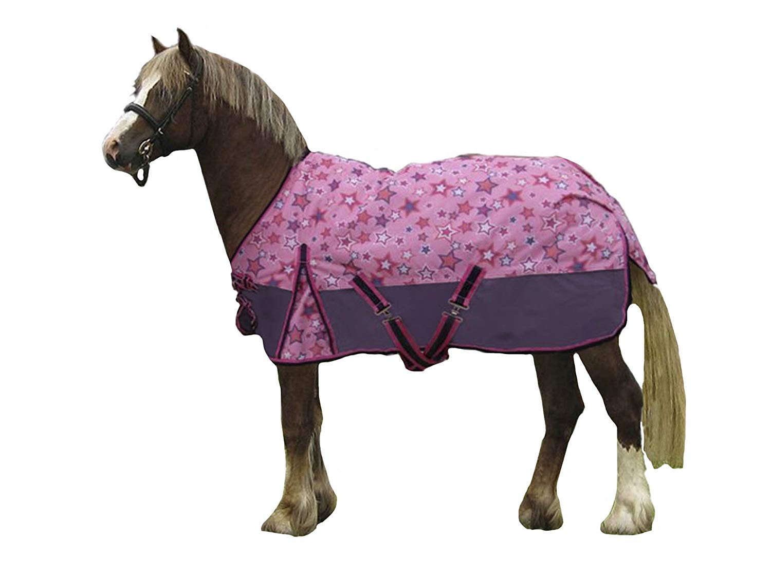 derby-originals-600d-shimmering-star-miniature-horse-and-pony-turnout-blanket-cheap-pony-blankets