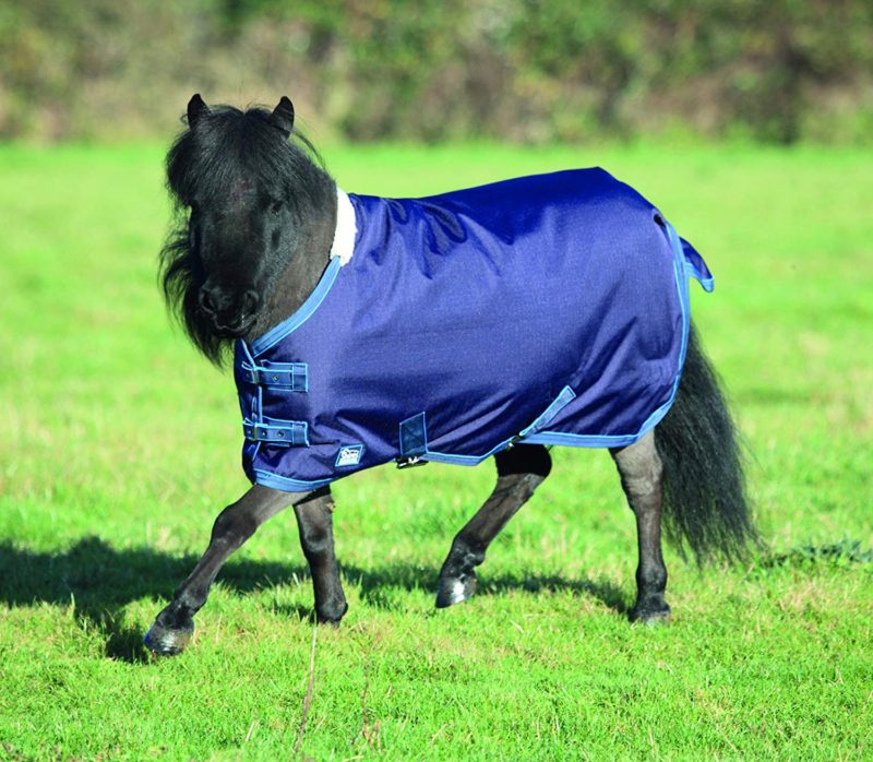 Top 10 Cheap Pony Blankets 2018 Best Horse Blankets