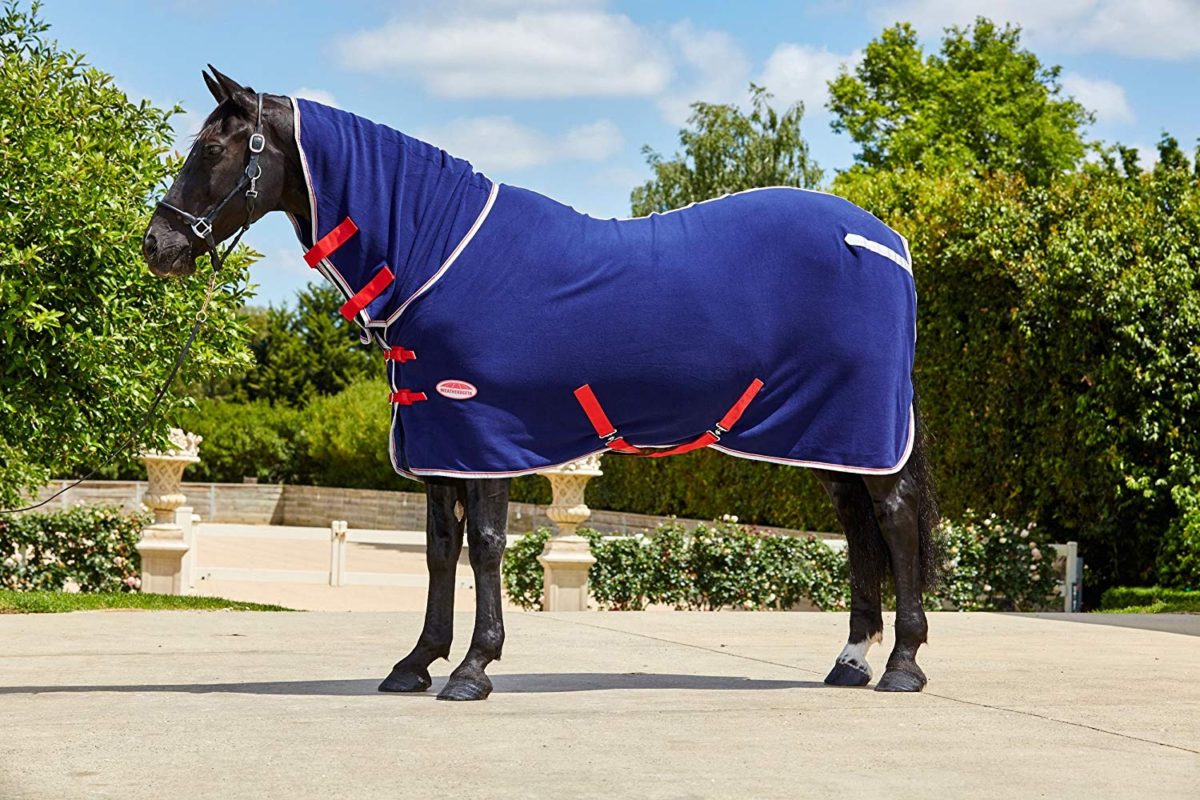 Top 10 Cheap Horse Cooler Blankets 2018 Best Horse Blankets