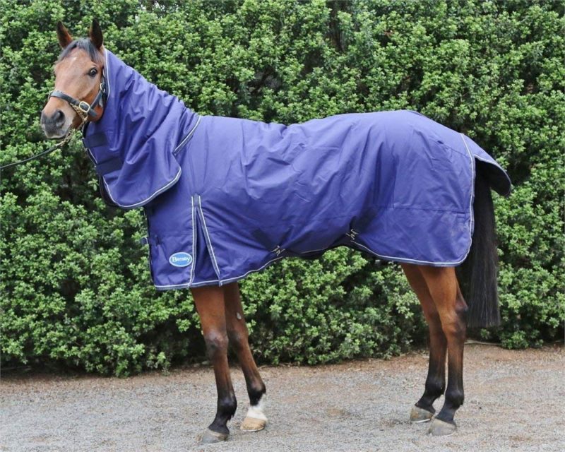 Top 10 Cheap Horse Turnout Winter Blankets 2018 Best Horse Blankets