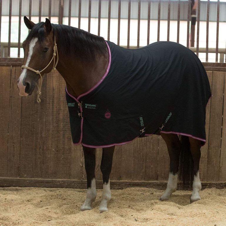 Top 10 Cheap Horse Stable Blankets and Sheets 2018 Best Horse Blankets