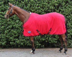 challenger-horsewear-turnout-winter-sheet-blanket-cheap-horse-stable-blankets-and-sheets