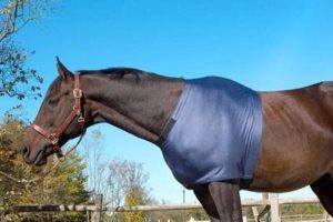 centaur-lycra-shoulder-guard-cheap-horse-underlayer-blankets