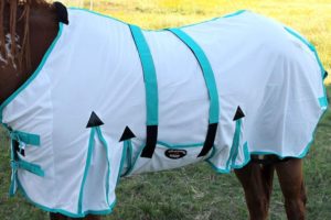 challenger-horse-fly-sheet-cheap-horse-stable-blankets-and-sheets