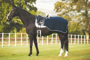 horsewear-rambo-competition-sheet-cheap-horse-quarter-sheets