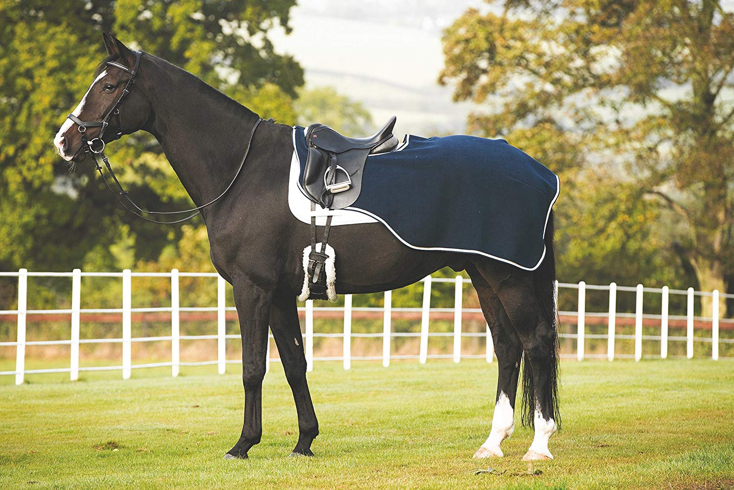 Top 10 Cheap Horse Quarter sheets 2018 Best Horse Blankets