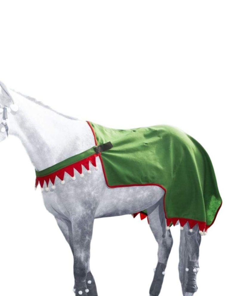 Top 10 Cheap Horse Quarter sheets 2018 Best Horse Blankets