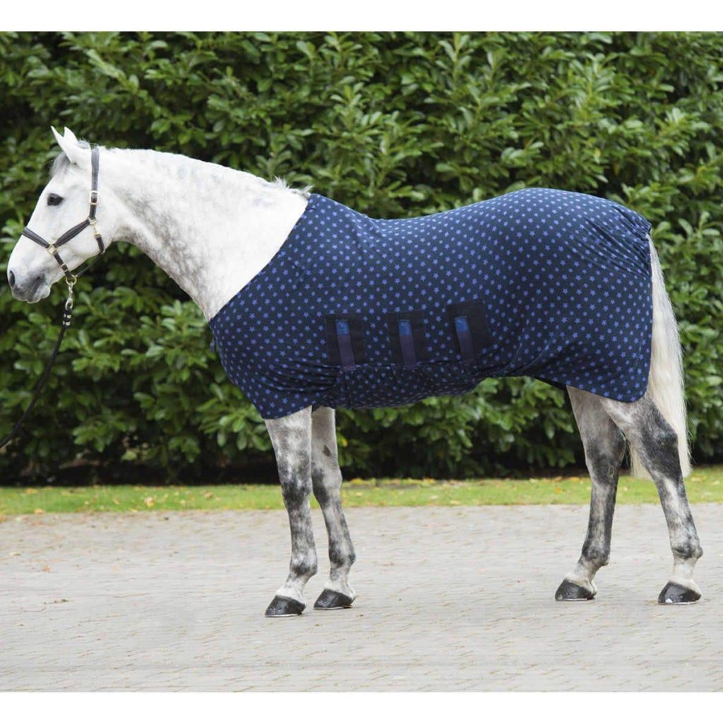 10 Best Cheap Horse Underlayer Blankets 2018 Best Horse Blankets