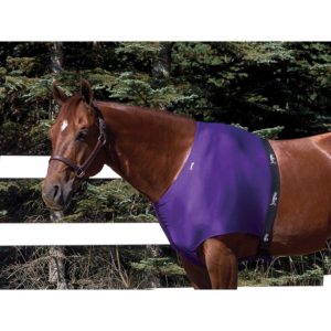 toklat-jammies-shoulder-guard-cheap-horse-underlayer-blankets