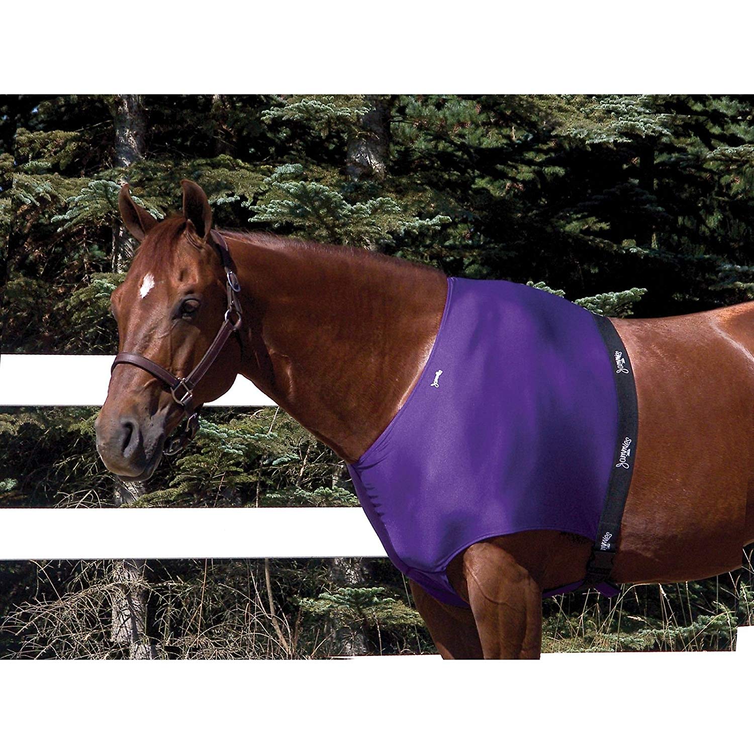10 Best Cheap Horse Underlayer Blankets 2018 Best Horse Blankets