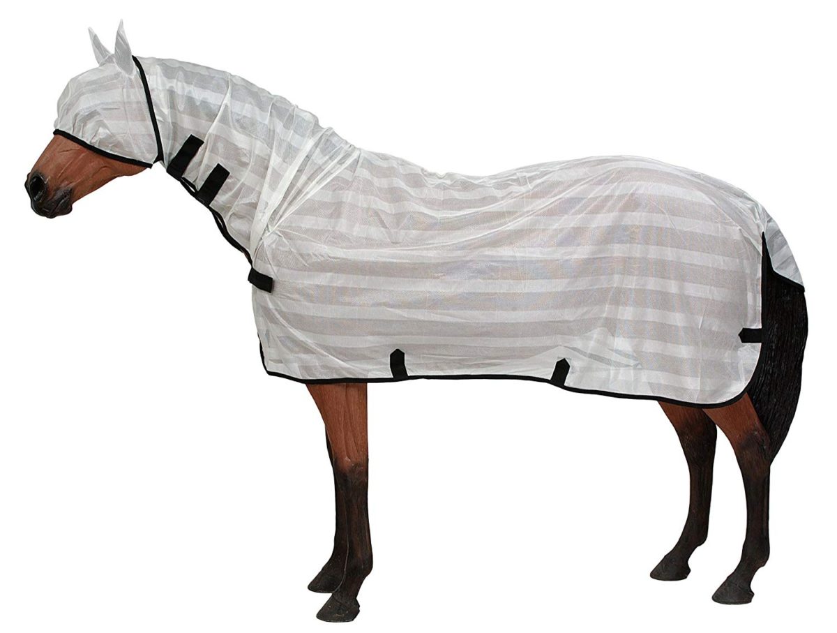 Top 10 Cheap Horse Stable Blankets and Sheets 2018 Best Horse Blankets