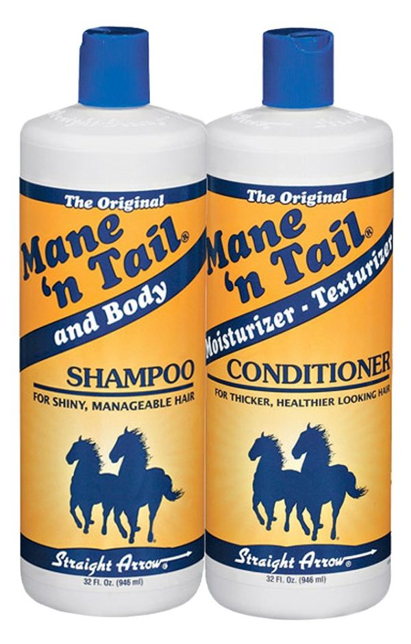 Top 10 Best Horse Shampoos Best Horse Blankets