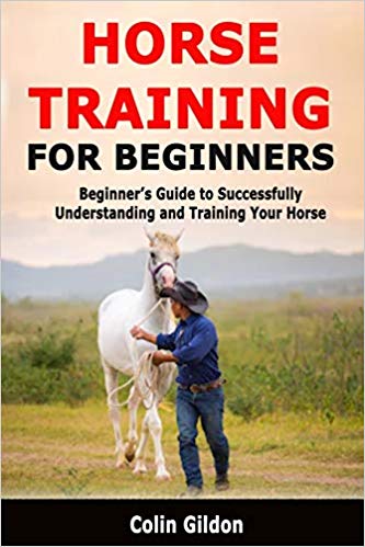 Best Horse Training Books for Beginners