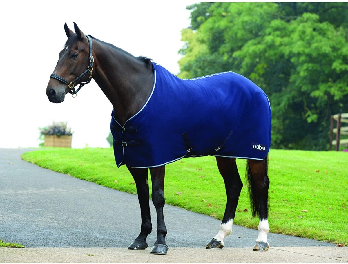 Top 10 Best Horse Cooler Blankets Best Horse Blankets
