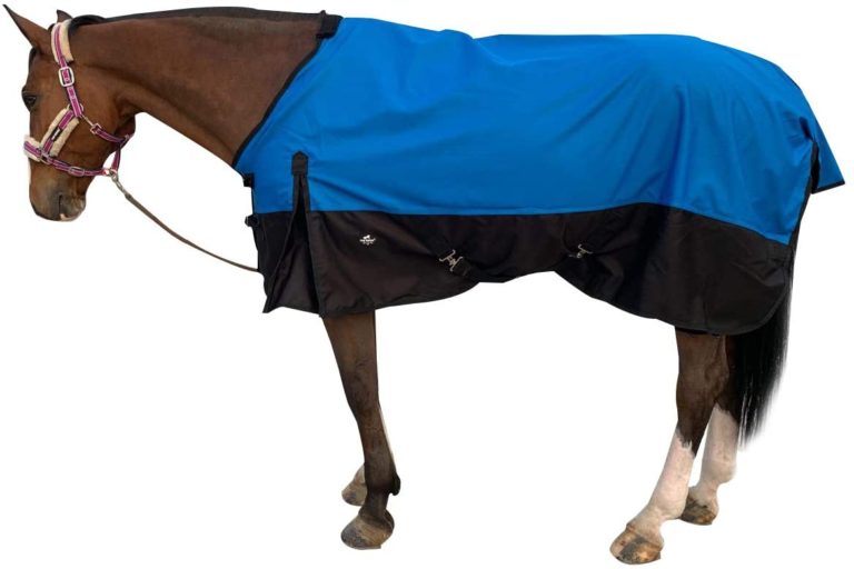 Top 10 Best Horse Rain Sheets Best Horse Blankets