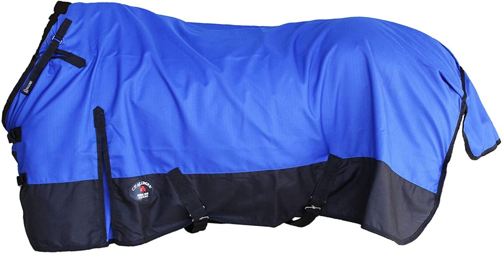 Top 10 Best Horse Rain Sheets Best Horse Blankets