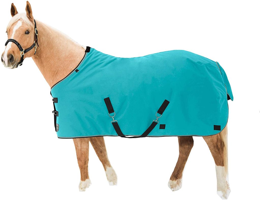 Top 10 Best Horse Rain Sheets Best Horse Blankets