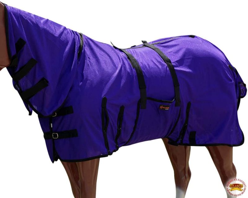 Top 10 Best Horse Fly Sheets 2021 - Best Horse Blankets