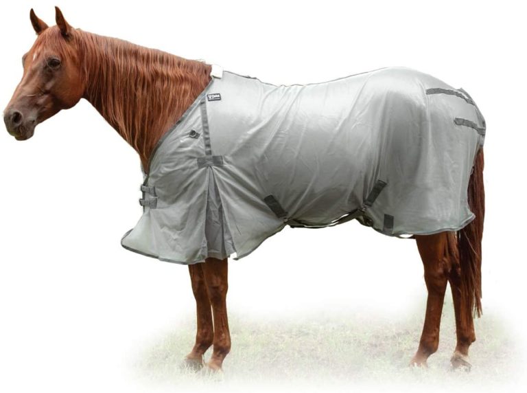 Top 10 Best Horse Fly Sheets 2021 Best Horse Blankets