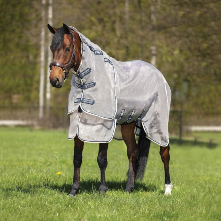Top 10 Best Horse Fly Sheets 2021 Best Horse Blankets