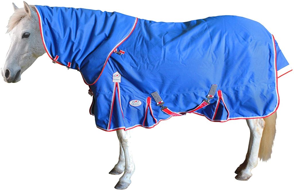 Top 10 Best Horse Turnout Winter Blankets Best Horse Blankets