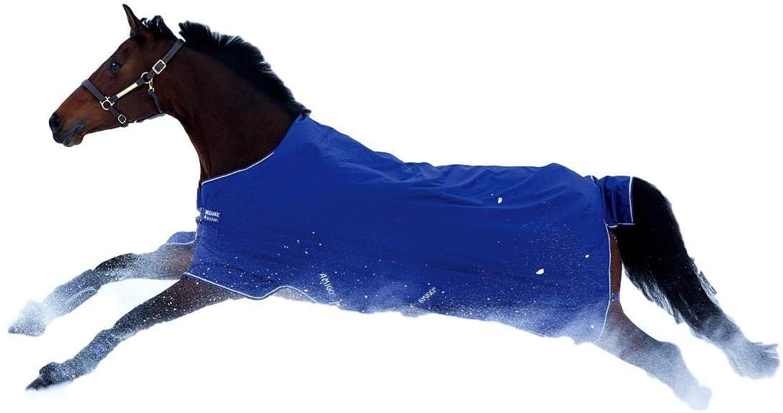 Top 10 Best Horse Turnout Winter Blankets Best Horse Blankets